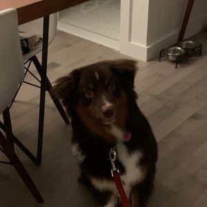 Meet your Posher, James